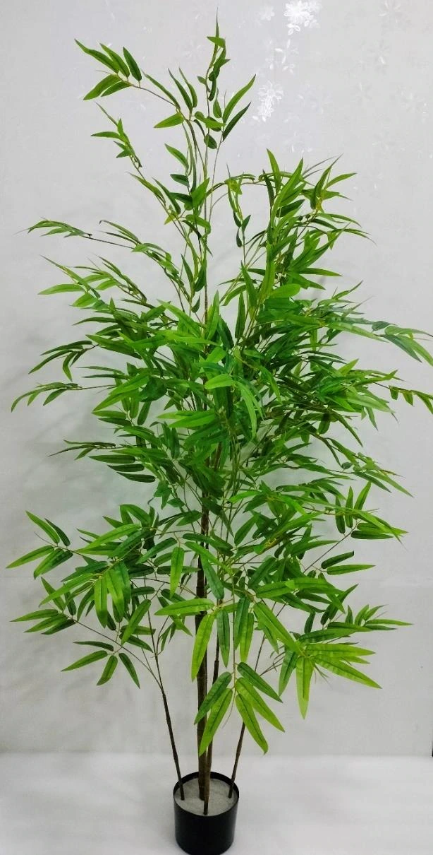 Bamboo Plant x5 180cm